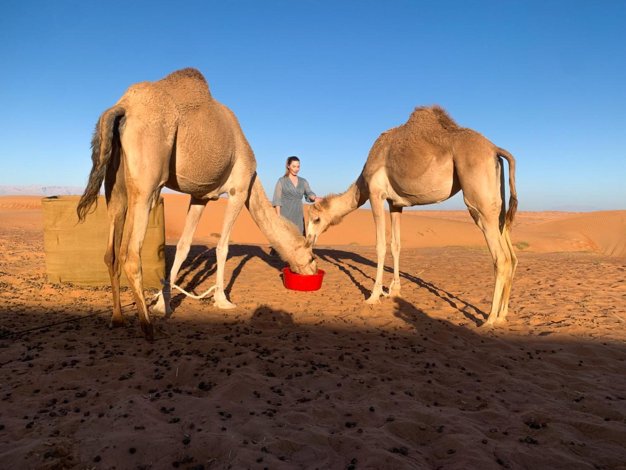 Wahiba Bedouiens Privae Camp Hotell Badīyah Eksteriør bilde